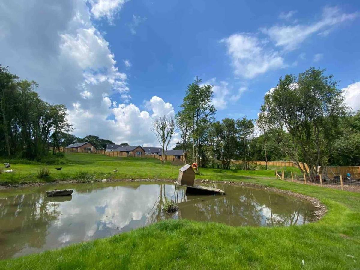 Cedar Cottage Тенбі Екстер'єр фото